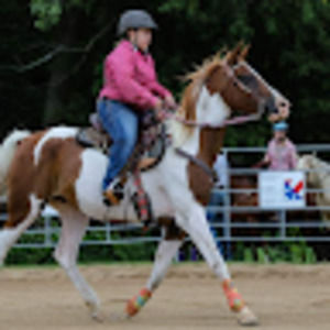 Meet your Posher, Brigit